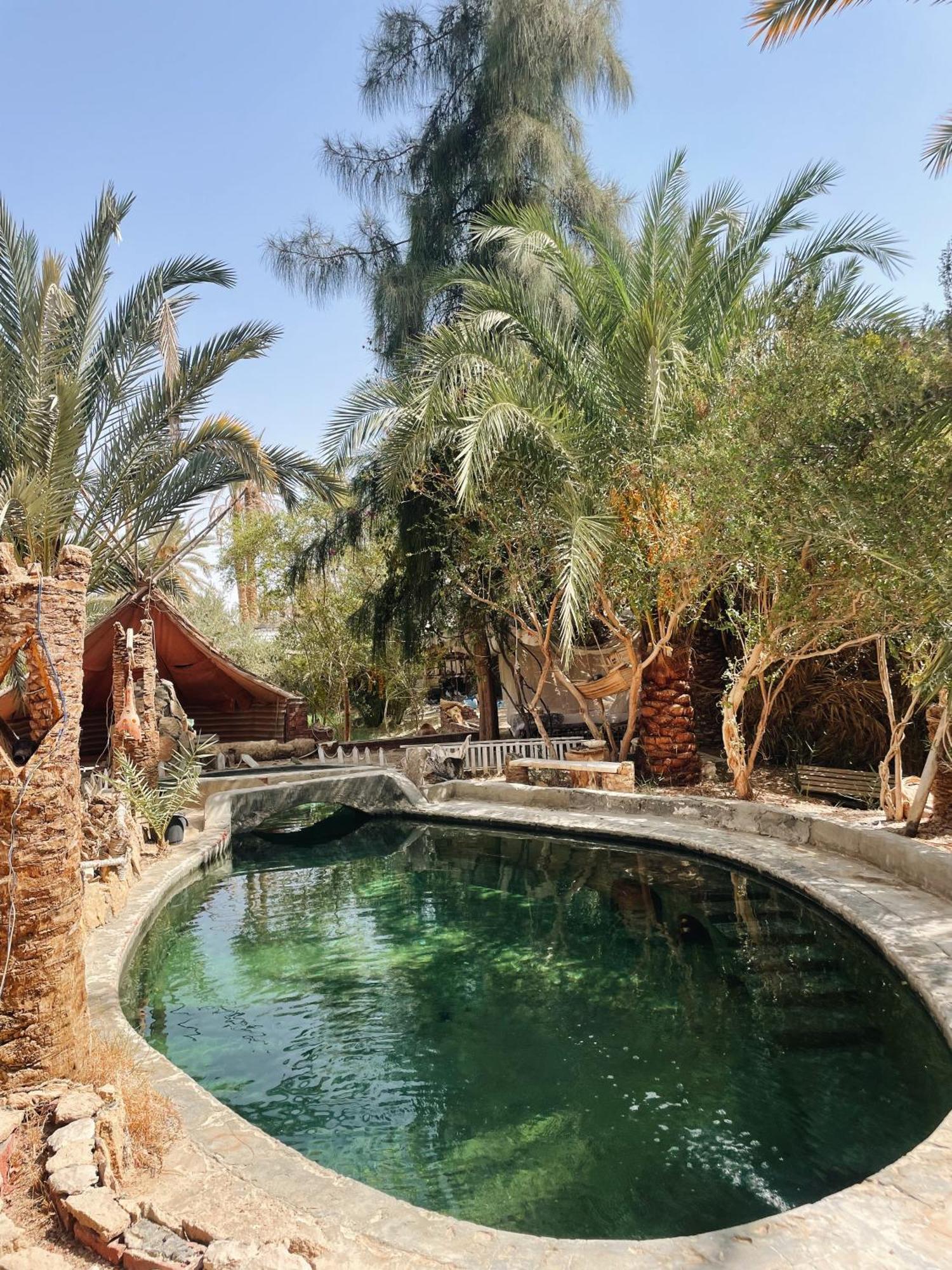 Shamofs Art Garden Villa Siwa Oasis Exterior photo